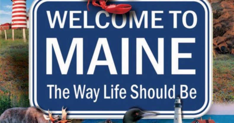 Maine Cannabis Business: Things to Know Before You Start