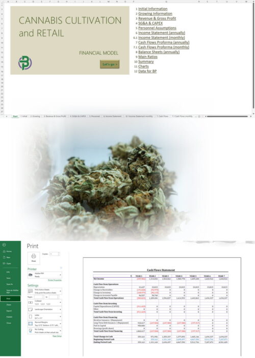 cannabis cultivation retail financial model