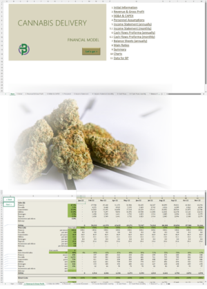 cannabis delivery financial model