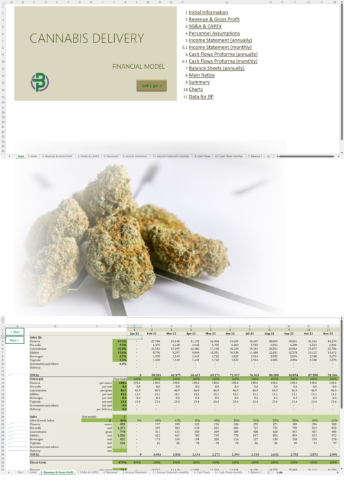 cannabis delivery financial model