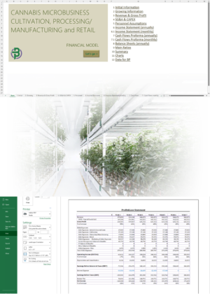 cannabis microbusiness financial model cultivation manufacturing retail