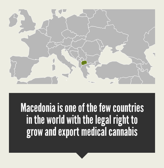 Cannabis Market in Macedonia