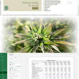 Cannabis Financial Model All in One