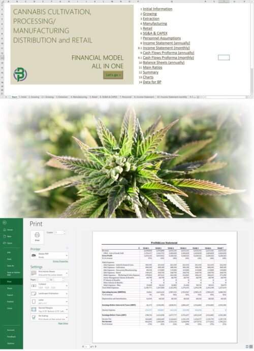 cannabis financial model