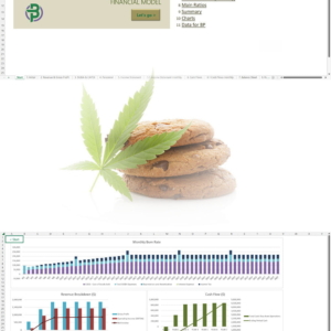 Cannabis Edibles Financial Model