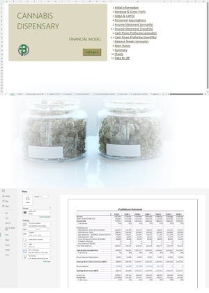 cannabis dispensary financial model