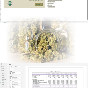 Cannabis Retail Financial Model