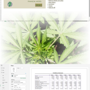Cannabis Micro Cultivation Financial Model