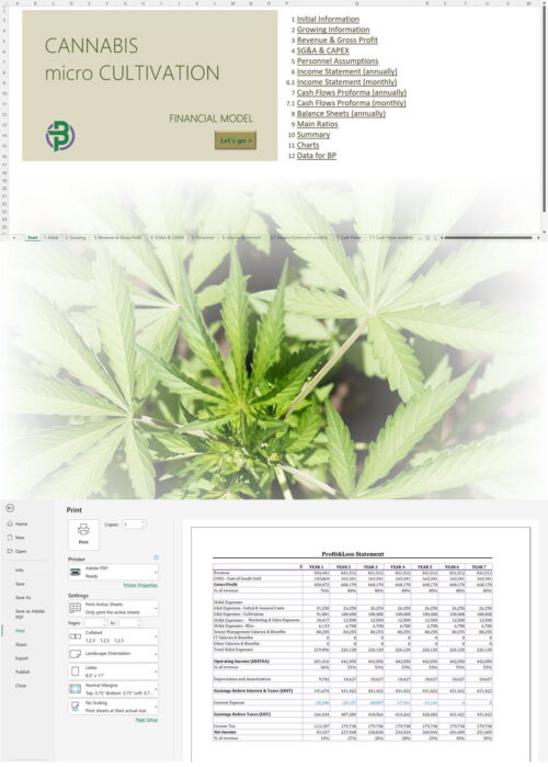 cannabis micro cultivation financial model