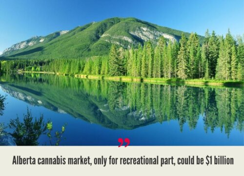 Alberta Cannabis Market
