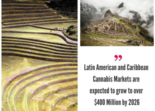 Latin America and the Caribbean Cannabis Markets