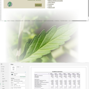 Cannabis Cultivation Financial Model