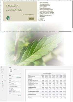 cannabis cultivation financial model