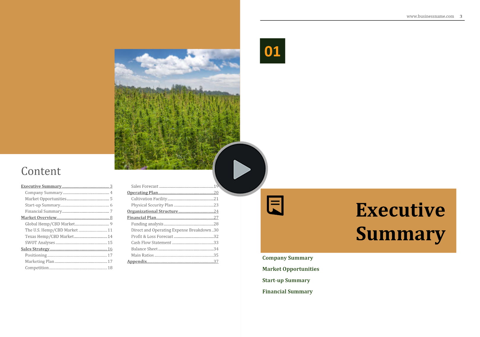 hemp cultivation business plan template