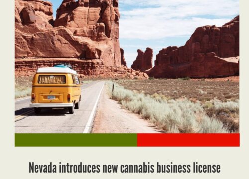 How to Start a Cannabis Business in Nevada?