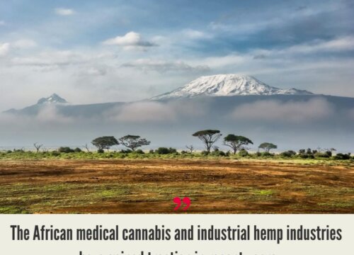 Africa Cannabis Market