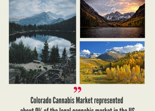 Colorado Cannabis Market