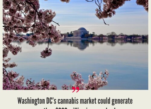Washington DC Cannabis Market