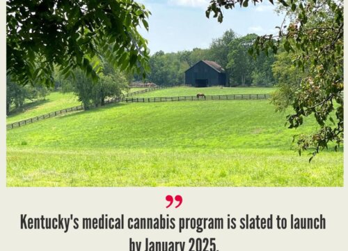 Kentucky Cannabis Market