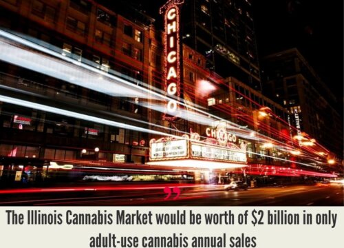 Illinois Cannabis Market