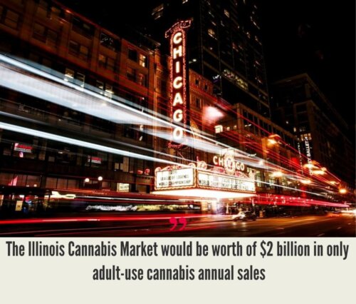 Illinois Cannabis Market