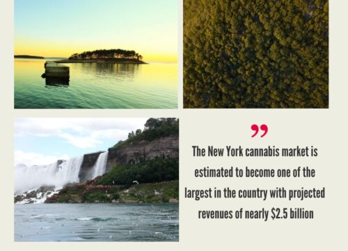 New York Cannabis Market