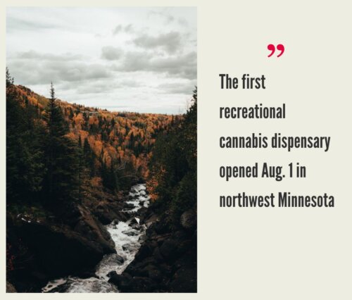 Minnesota Cannabis Market