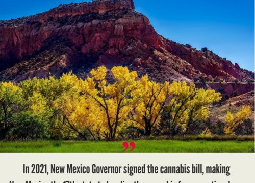 New Mexico Cannabis Market