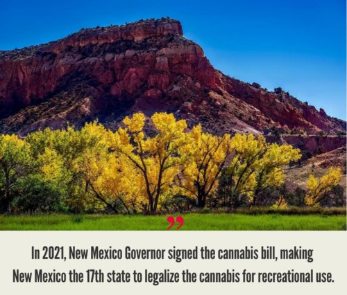 New Mexico Cannabis Market