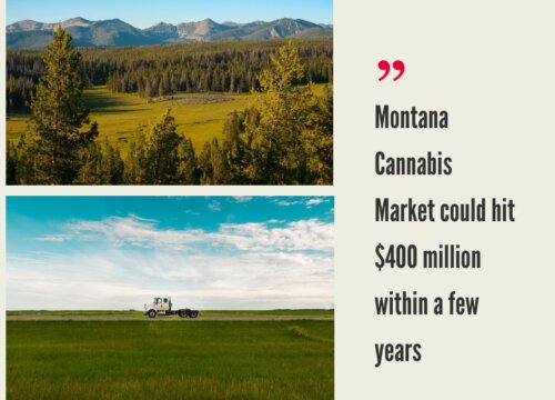 Montana Cannabis Market