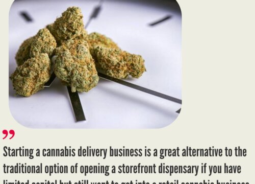 How Much Does it Cost to Start a Cannabis Delivery Business?