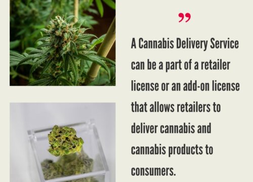 Cannabis Delivery Service by State