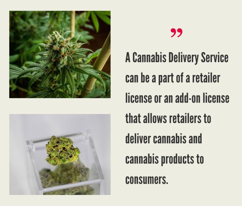 Cannabis Delivery Service by State