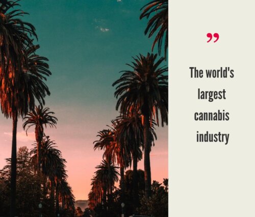 California Cannabis Market