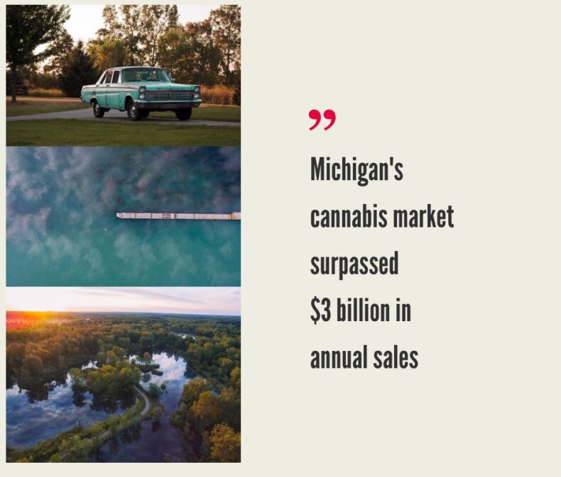 Michigan Cannabis Industry
