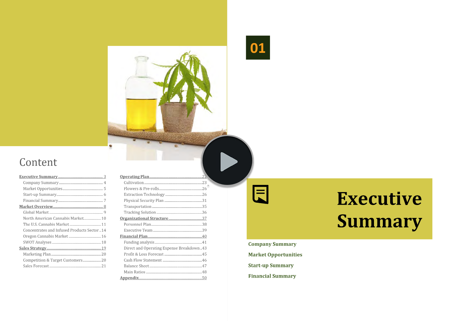Cannabis Cultivation Extraction Business Plan Template