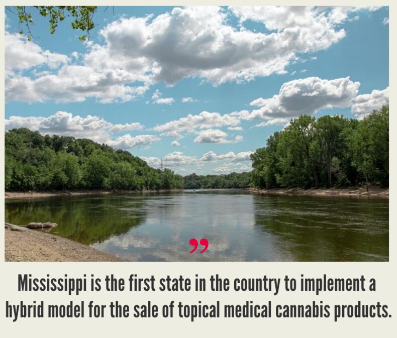 Mississippi Cannabis Market