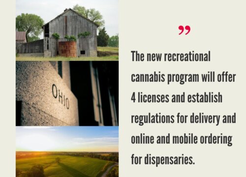 How to Start a Cannabis Business in Ohio?