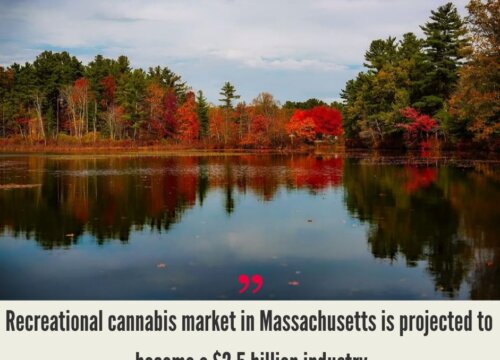 Massachusetts Cannabis Market