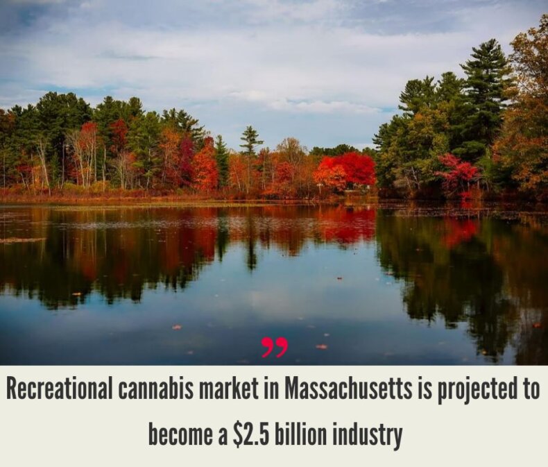 Massachusetts Cannabis Market