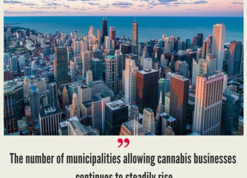 How to Start a Cannabis Business in Michigan?