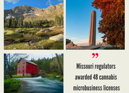 How to Start a Cannabis Business in Missouri?