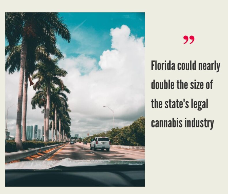 How to Start a Cannabis Business in Florida?