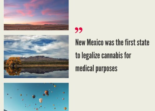 How to Start a Cannabis Business in New Mexico?