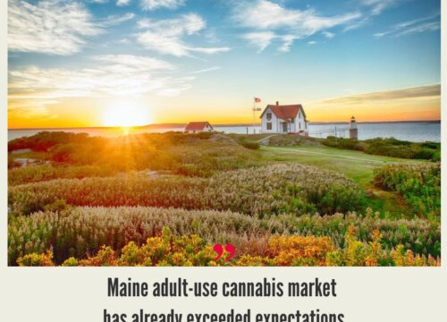 Maine Cannabis Market