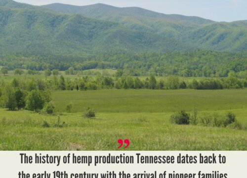 Tennessee Hemp Industry