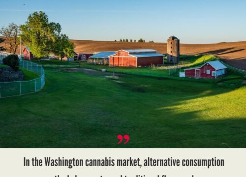 Washington Cannabis Market