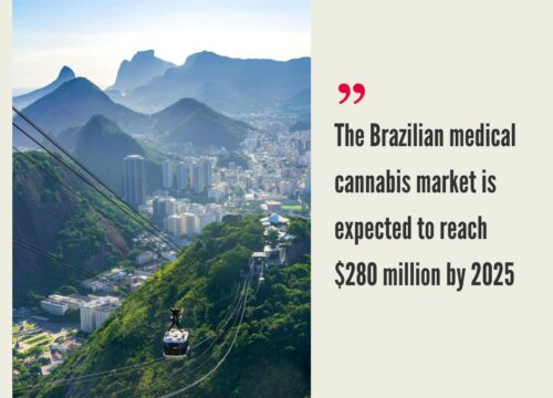 Brazil Cannabis Market