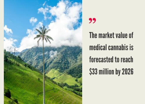 Colombia Cannabis Market