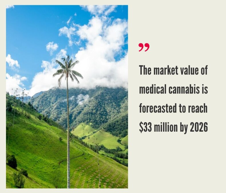 Colombia Cannabis Market